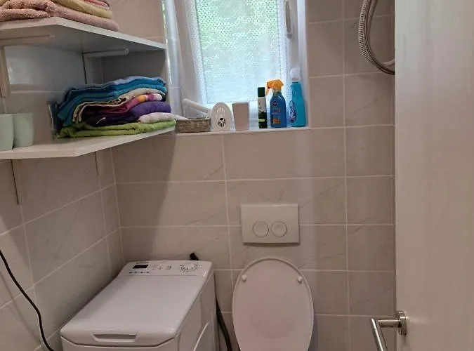 Miro * オパティヤ